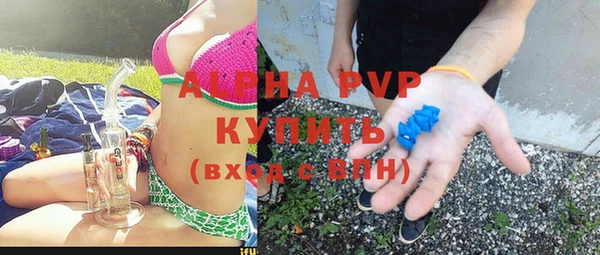 спиды Богородицк
