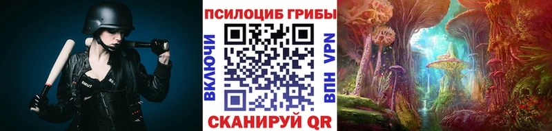 что такое blacksprut ТОР Псилоцибиновые грибы Psilocybine cubensis Мегион